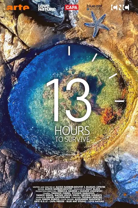 13 HOURS TO SURVIVE